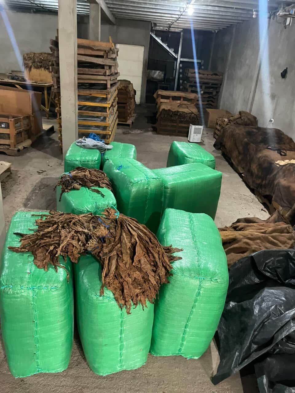 Baled Nicaraguan tobacco resting in the curing room, light breaking through the barn above the pilones.