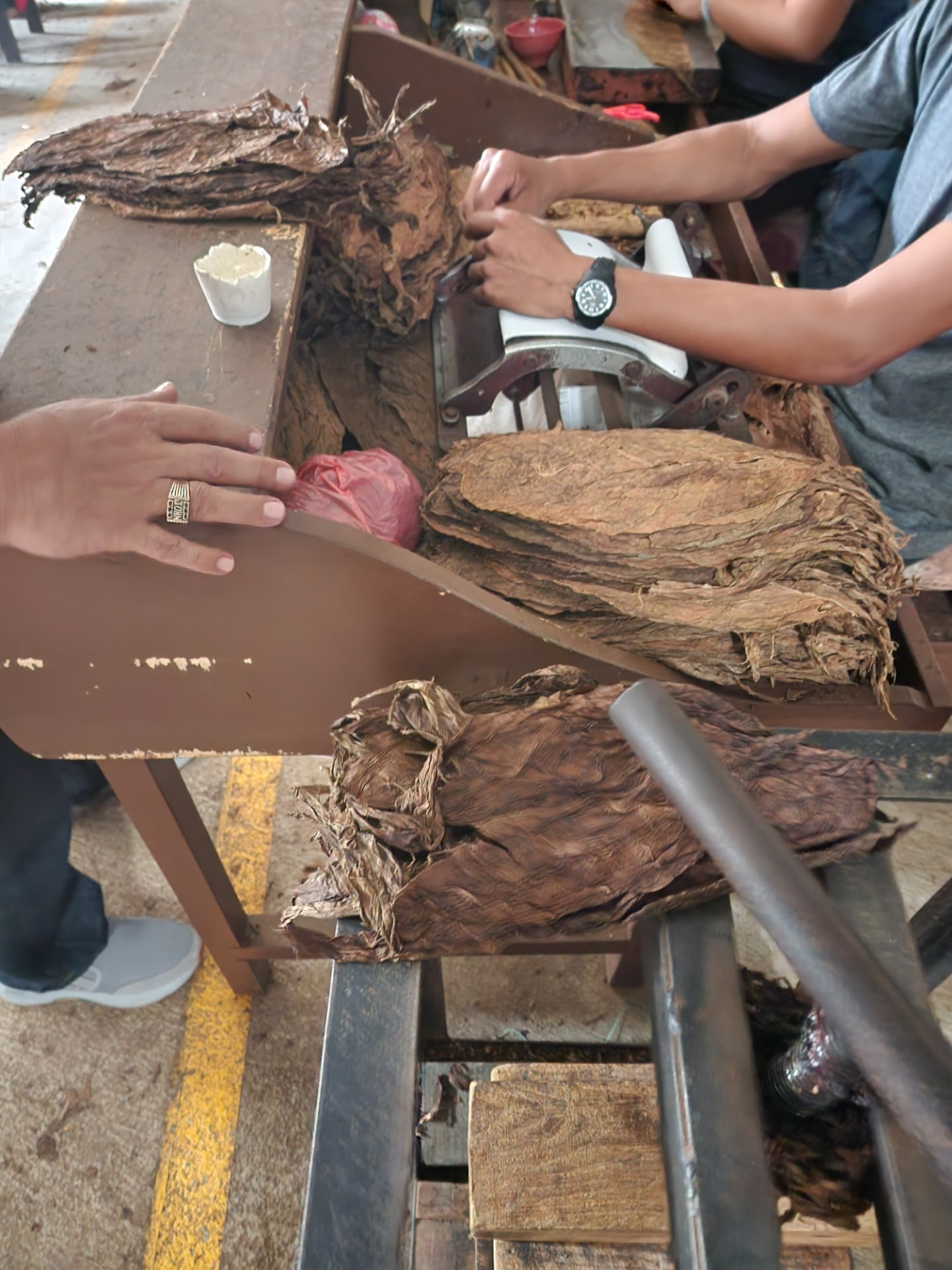 Hands sorting and stripping tobacco leaf at the bench, bundles of wrapper stacked along the worktable.